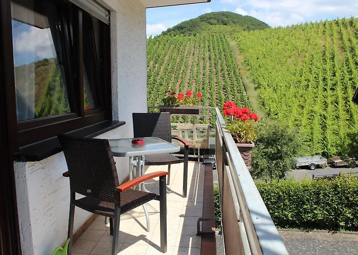 Haus Muehlenruh 3* ブルッティヒ・ファンケル